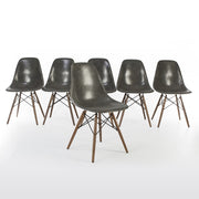 View of set of 6 Elephant Grey Eames DSWs in a line, one in front