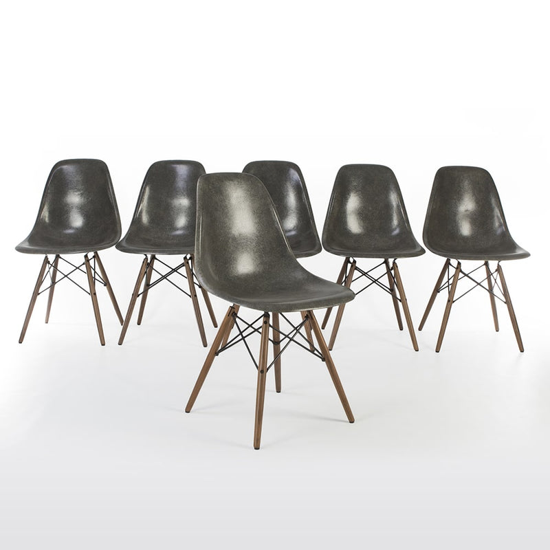View of set of 6 Elephant Grey Eames DSWs in a line, one in front