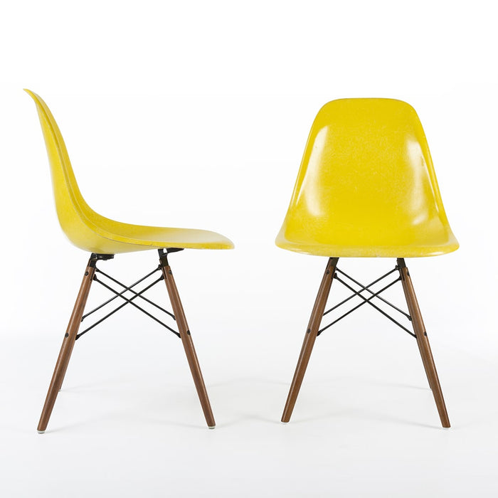 View of pair of Bright Yellow Eames DSW dining side chairs, one from right side, one from front