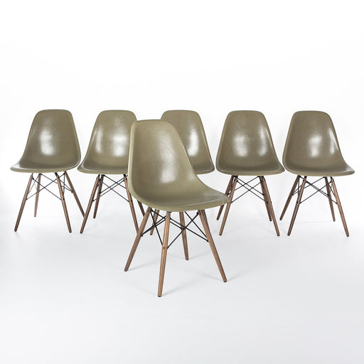 View of set of 6 raw umber Eames DSW dining side chairs in a line