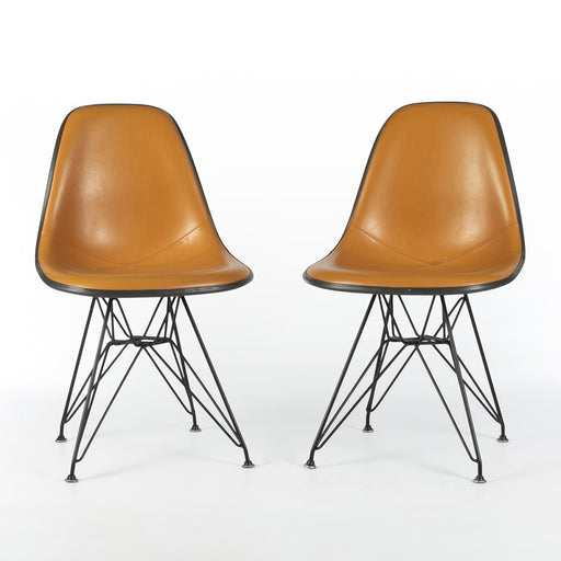 Front view of pair of Orange and Black Eames DSRs