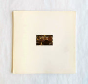 Rear image of Images of Early America